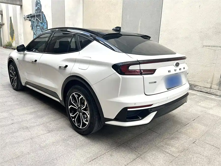 Ford EVOS - фото 11